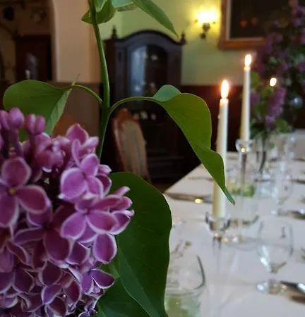 Bristol מלון טארנאו